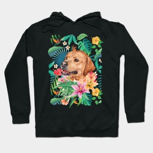 Tropical Labrador Retriever 6 Hoodie